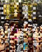 《电影《鸭王3》观看》字幕手机在线观看高清蓝光完整版免费在线观看