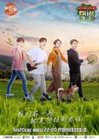 《向往的生活第二季》高清免费在线观看完整版-全集