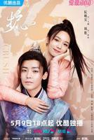 《护心》全集在线观看-电视剧