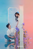 《狙击蝴蝶》电视剧在线观看-全集国产剧高清完整版在线观看