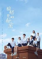 中国大陆电视剧《暗格里的秘密》在线免费观看全集完整