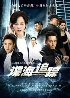 《谍海追踪》第32集_在线观看